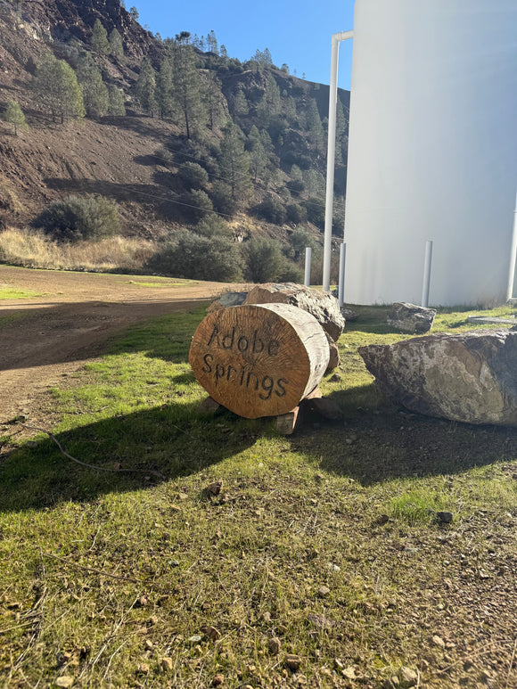 Discover the Magnesium-Rich Oasis: Adobe Spring