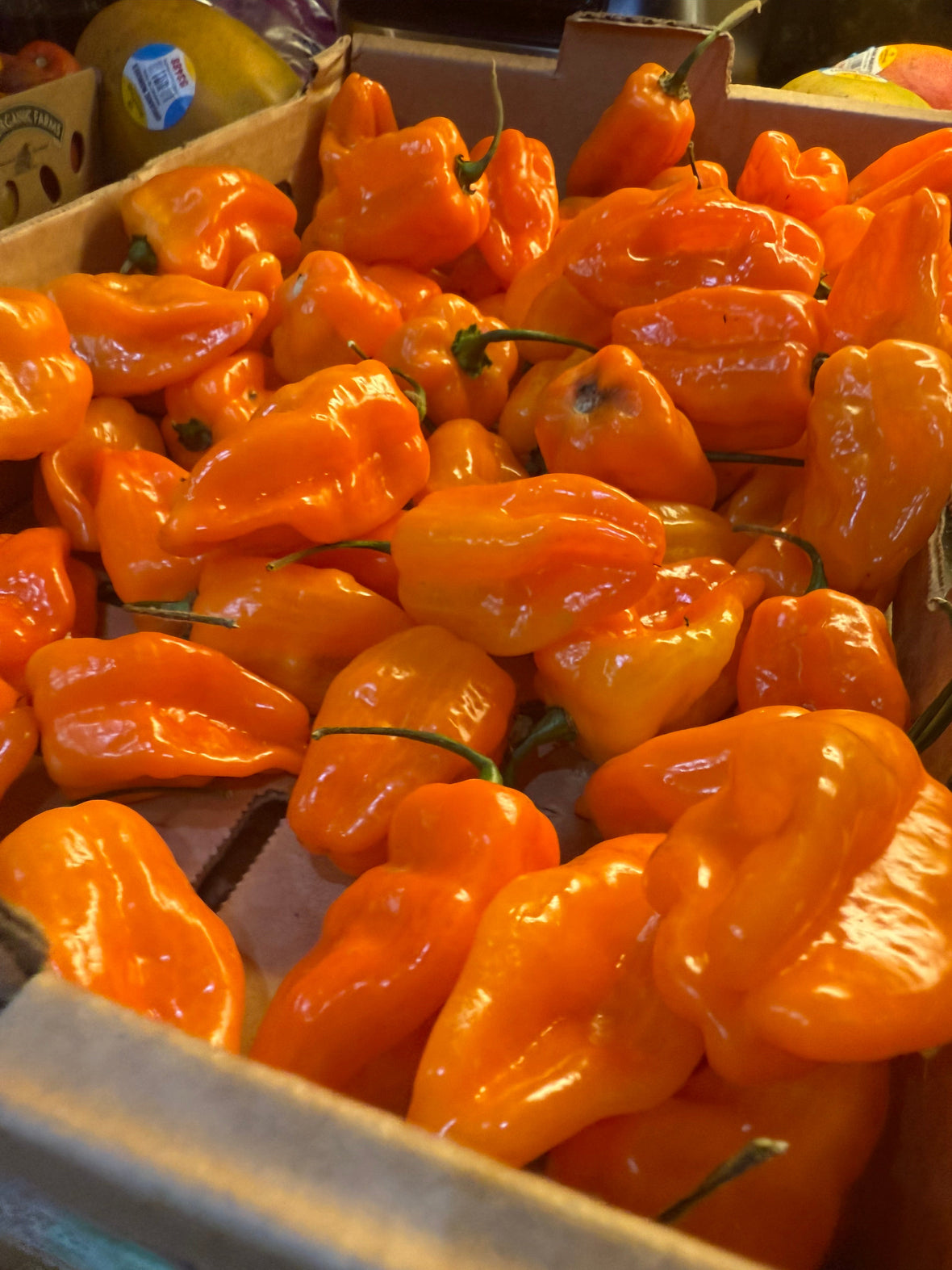 Roasted Habanero Pineapple Salsa