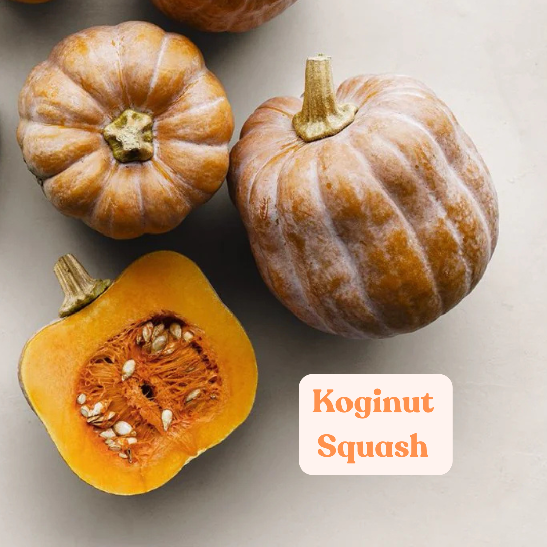 Discover the Delightful Koginut: A Squash Sensation for Your Table