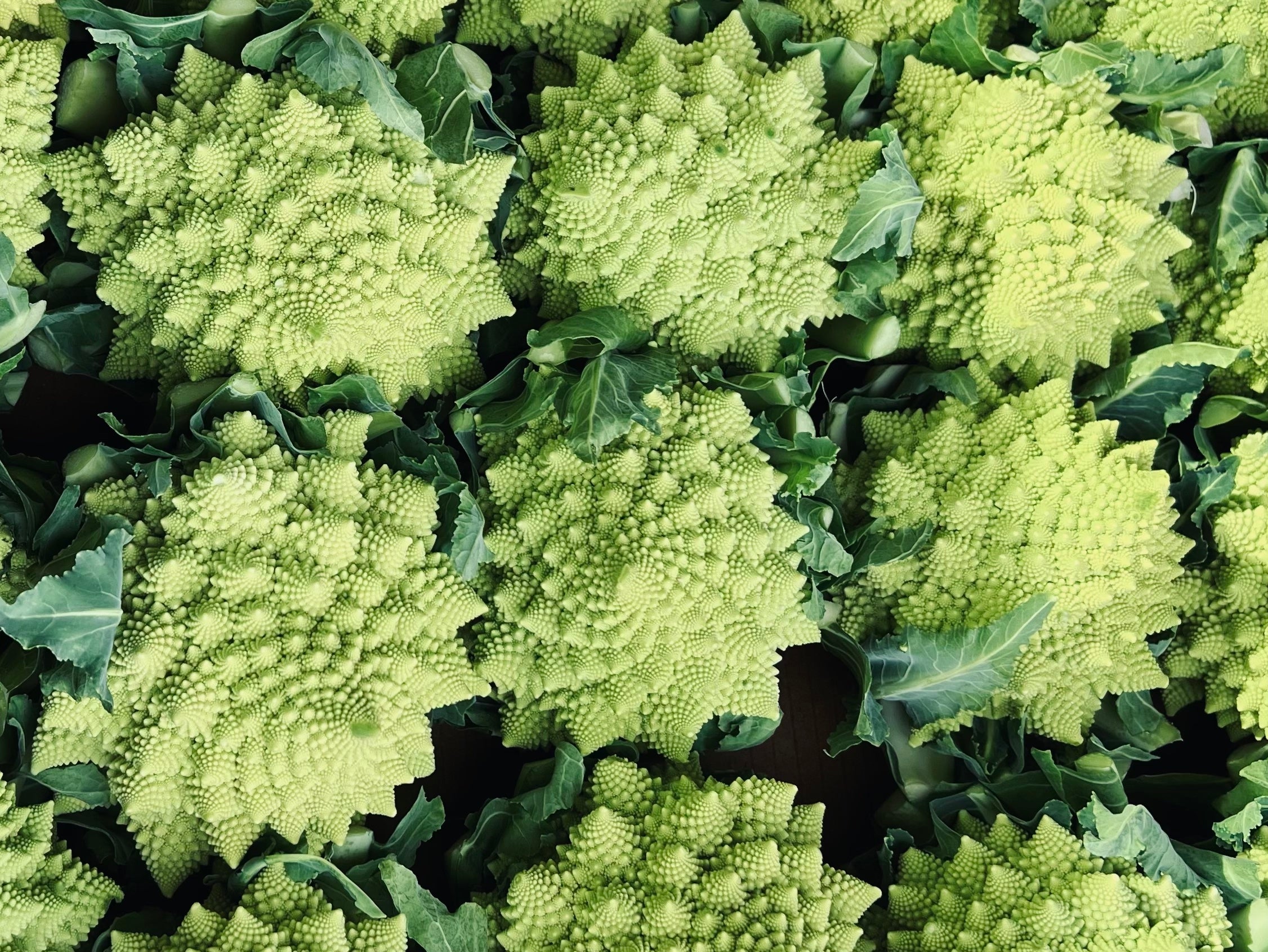 Organic Produce – RAW Food and Goods