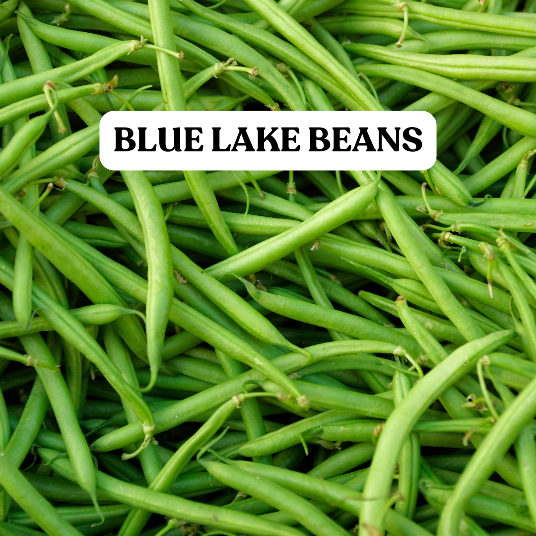 Green Beans