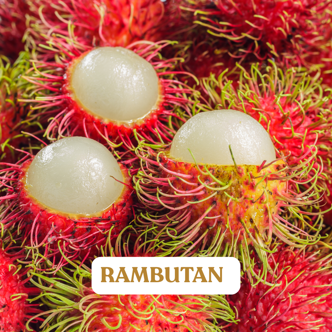 Rambutan