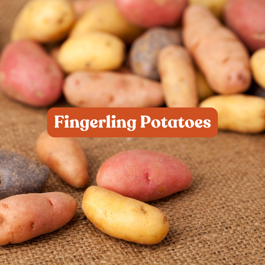 Fingerling Potatoes