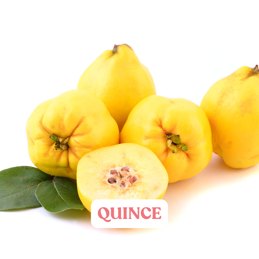 Quince