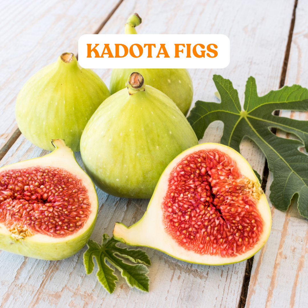 Kadota Figs (Yellow)