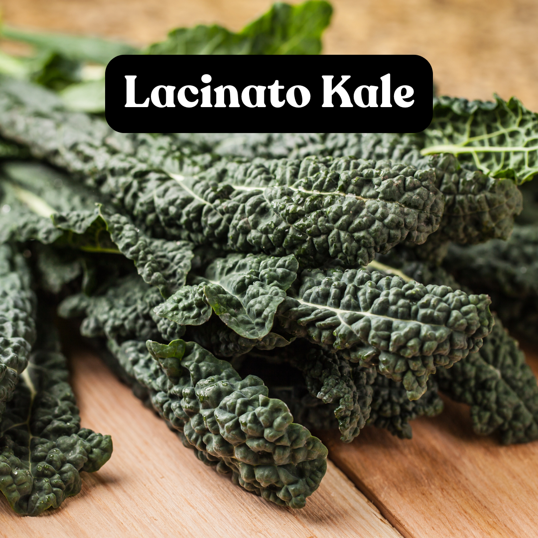 Lacinato Kale