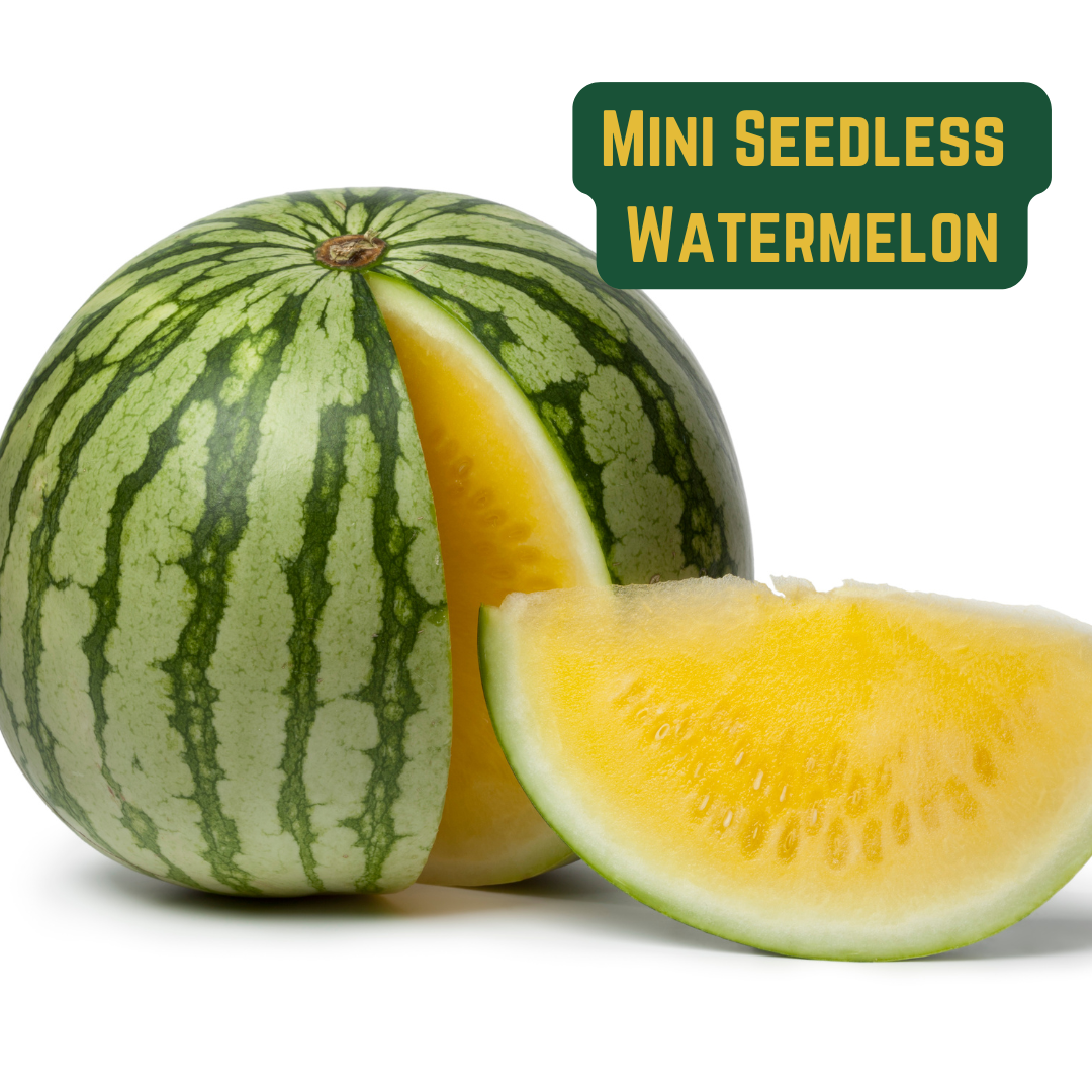 Yellow Mini Seedless Watermelon
