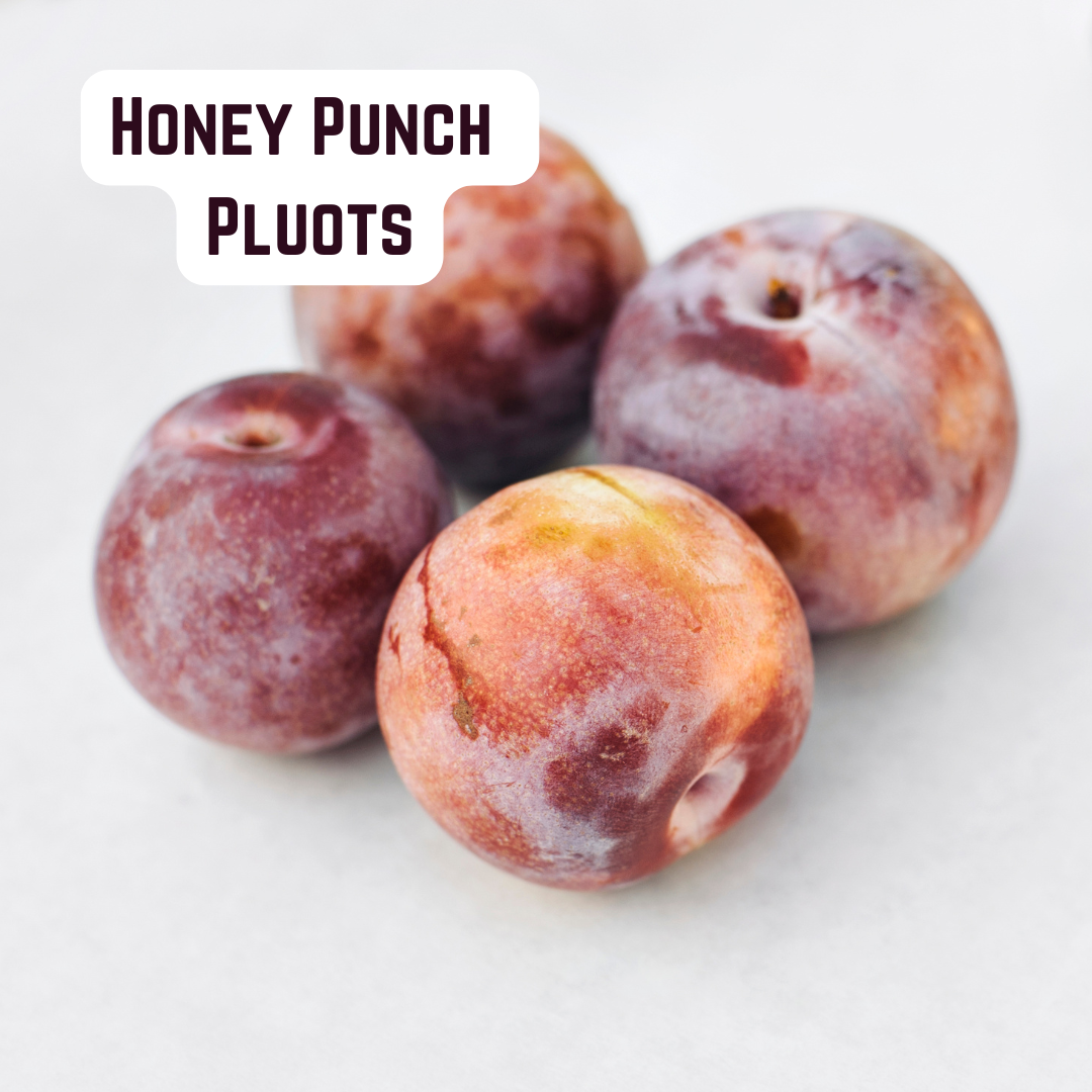 Honey Punch pluots
