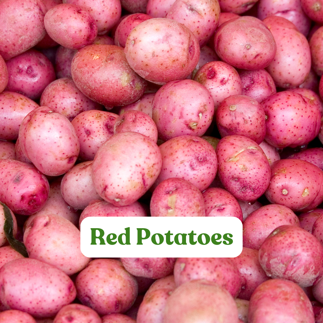 Red Norland Potatoes