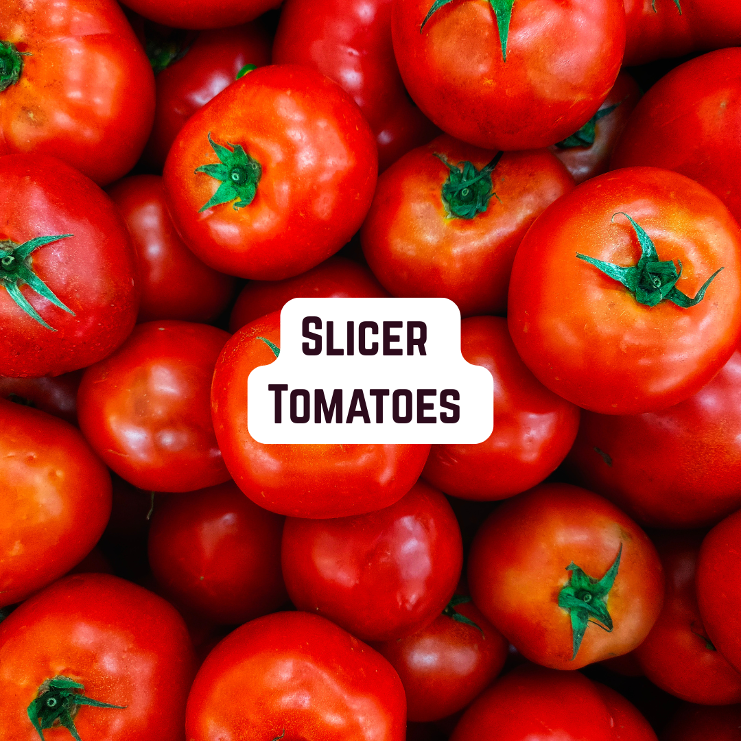Slicer Tomato