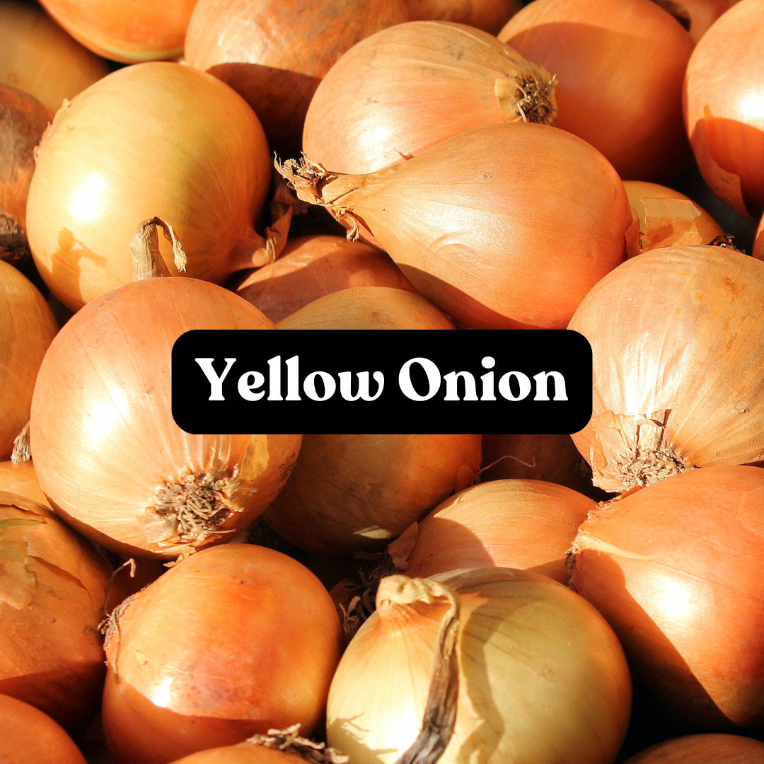 Yellow Onion