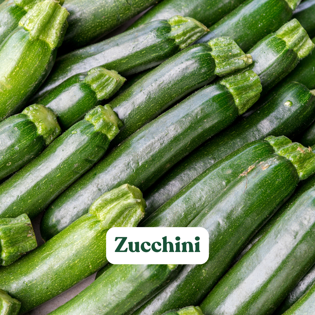 Zucchini