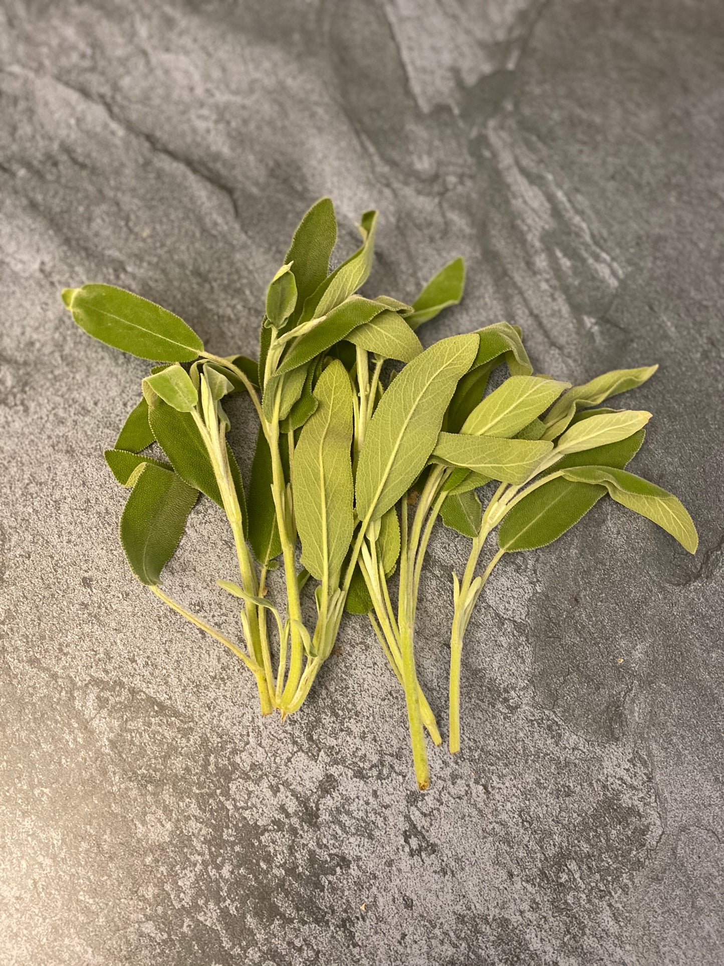 Sage