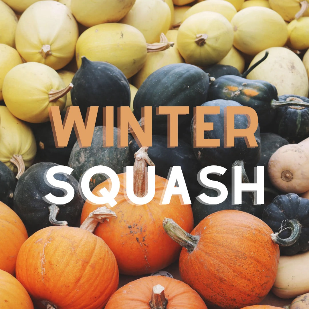 Winter Squash Season