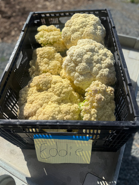 One of the Coolest Plants in the Field: The Cauliflower Flower
