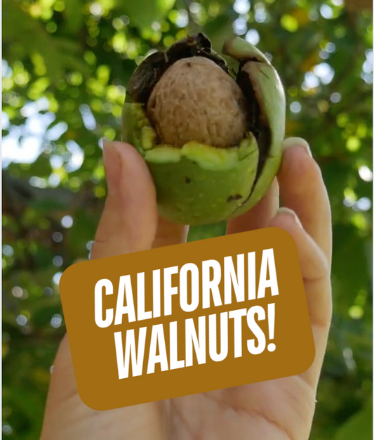 Discover the Delightful Wonders of California Walnuts