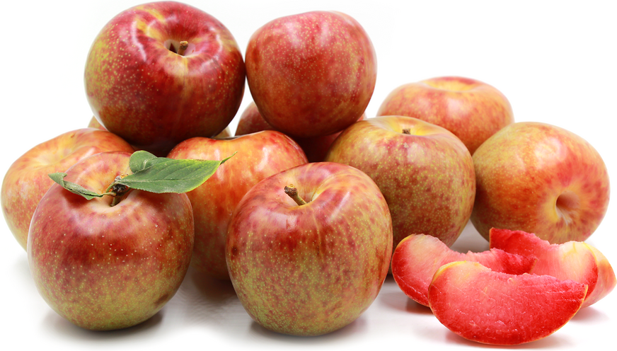 Dapple Dandy Pluot (1lb)