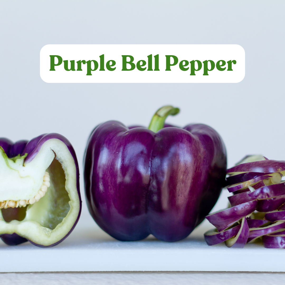 Purple bell pepper