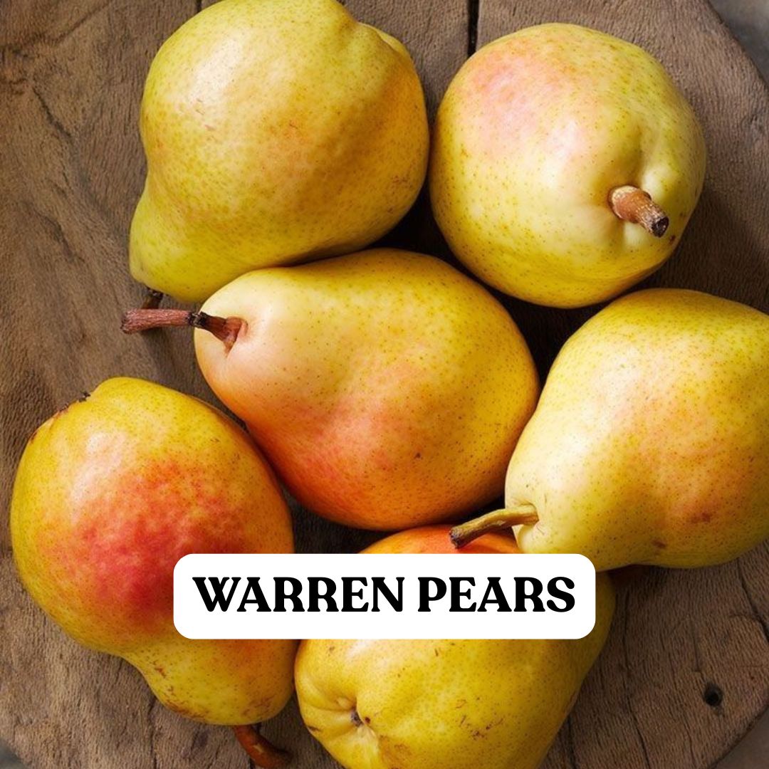Warren Pears