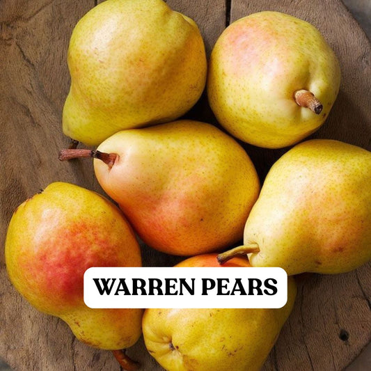Warren Pears