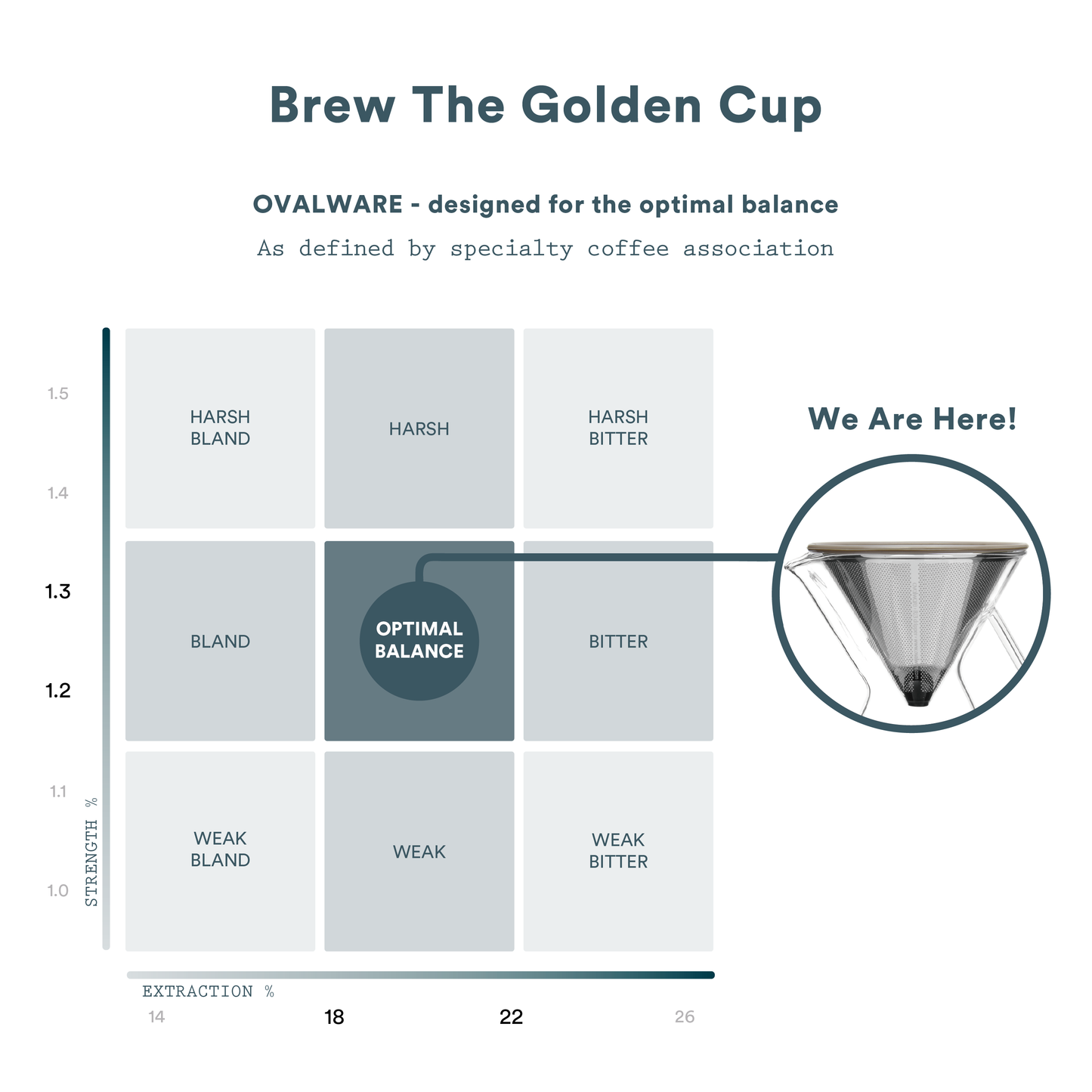 Ovalware - Stainless Steel Coffee Filter | Fits Chemex & Hario