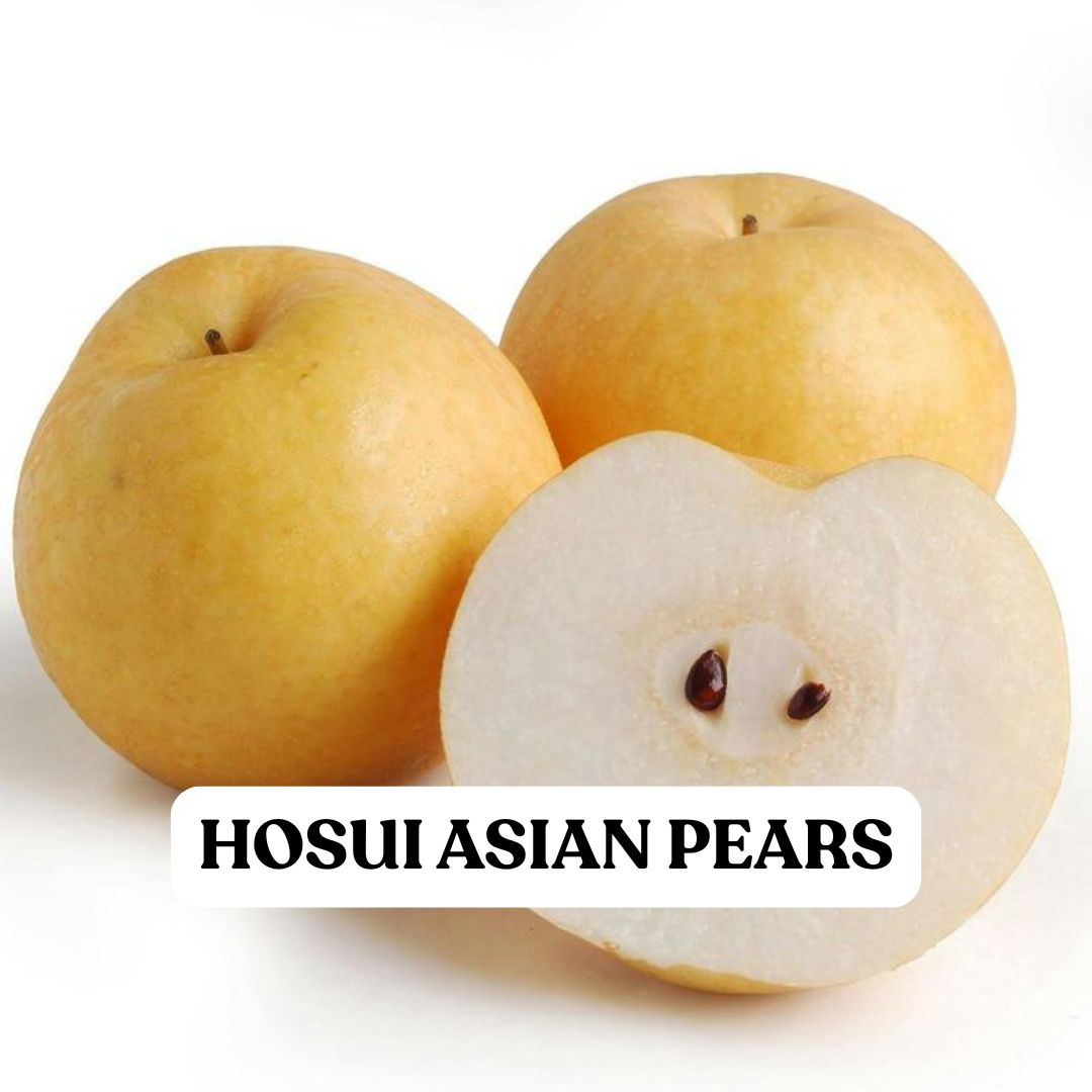 Hosui Asian Pears