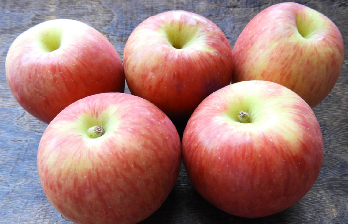 Jazz Apple