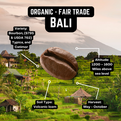Bali Coffee