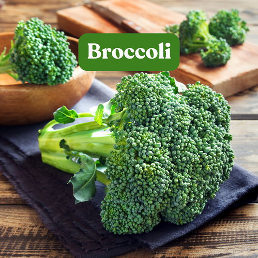 Broccoli