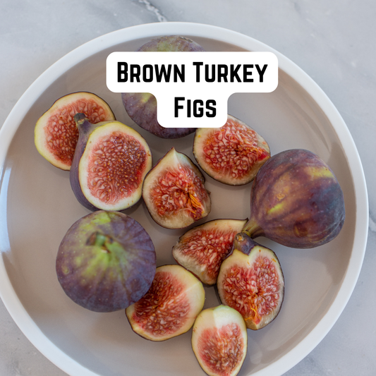 Brown Turkey Figs