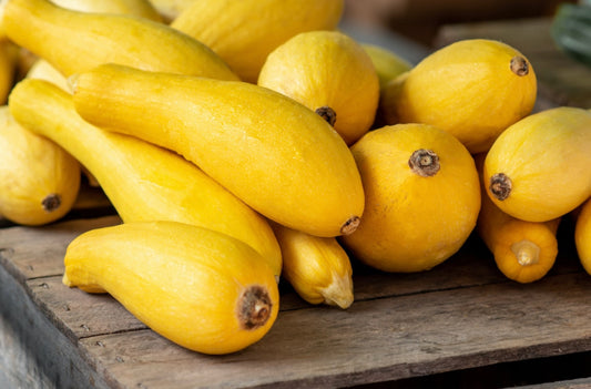 Yellow Straightneck Squash