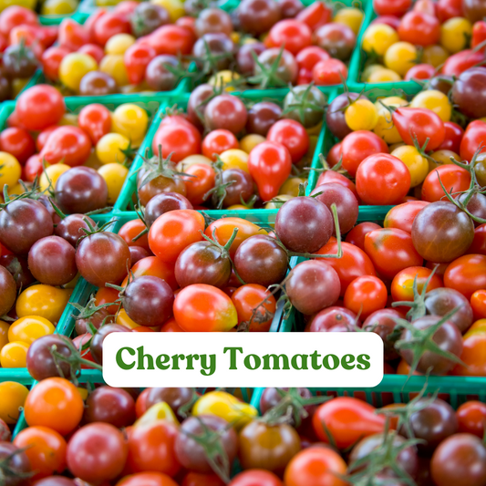 Cherry Tomatoes