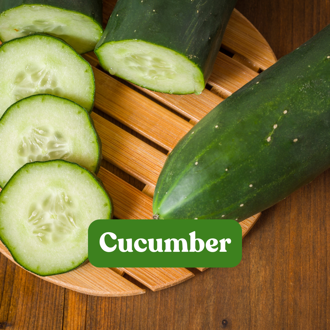 Cucumber