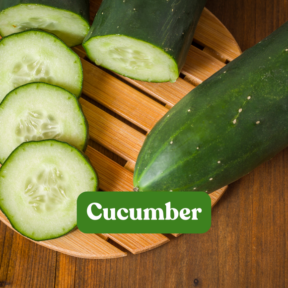 Cucumber