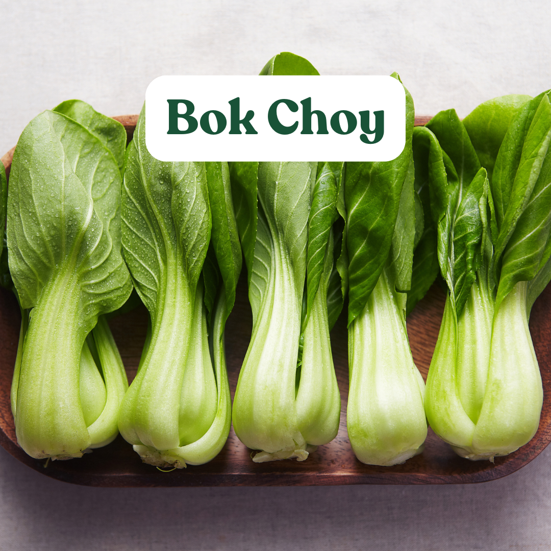 Bok Choy