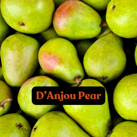 D'anjou Pear