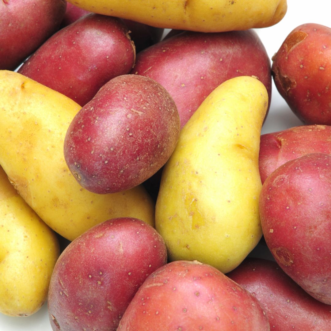 Organic Fingerling Potatoes