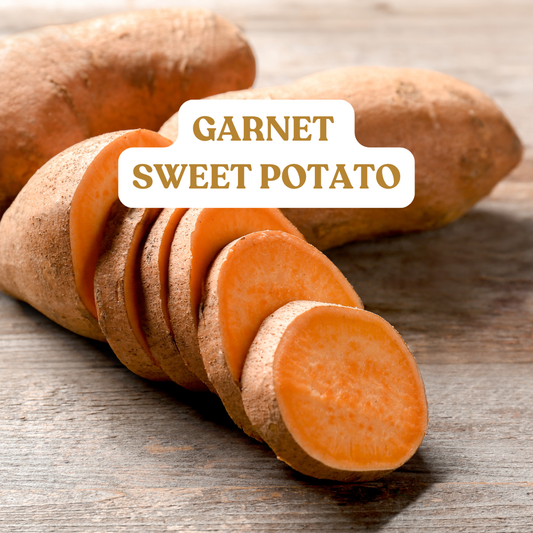 Garnet Sweet Potato