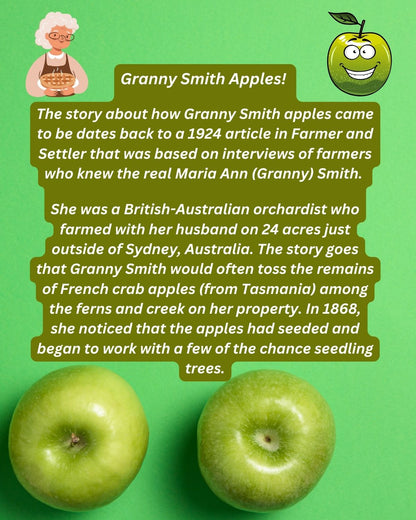 Granny Smith Apple
