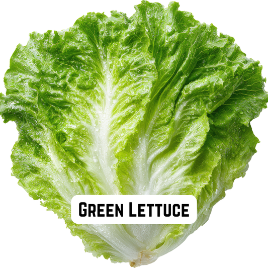 Green Lettuce
