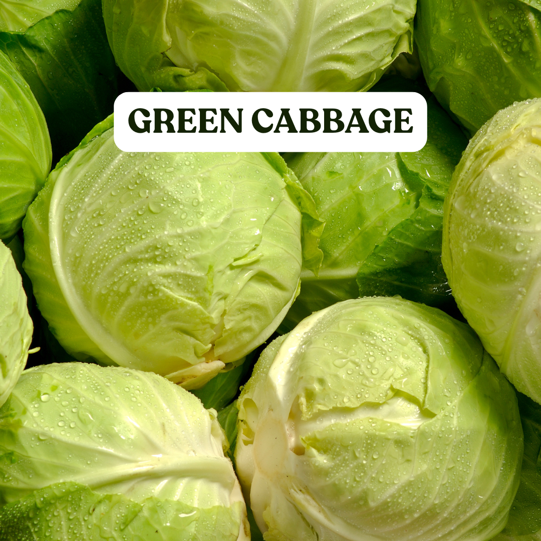 Green Cabbage