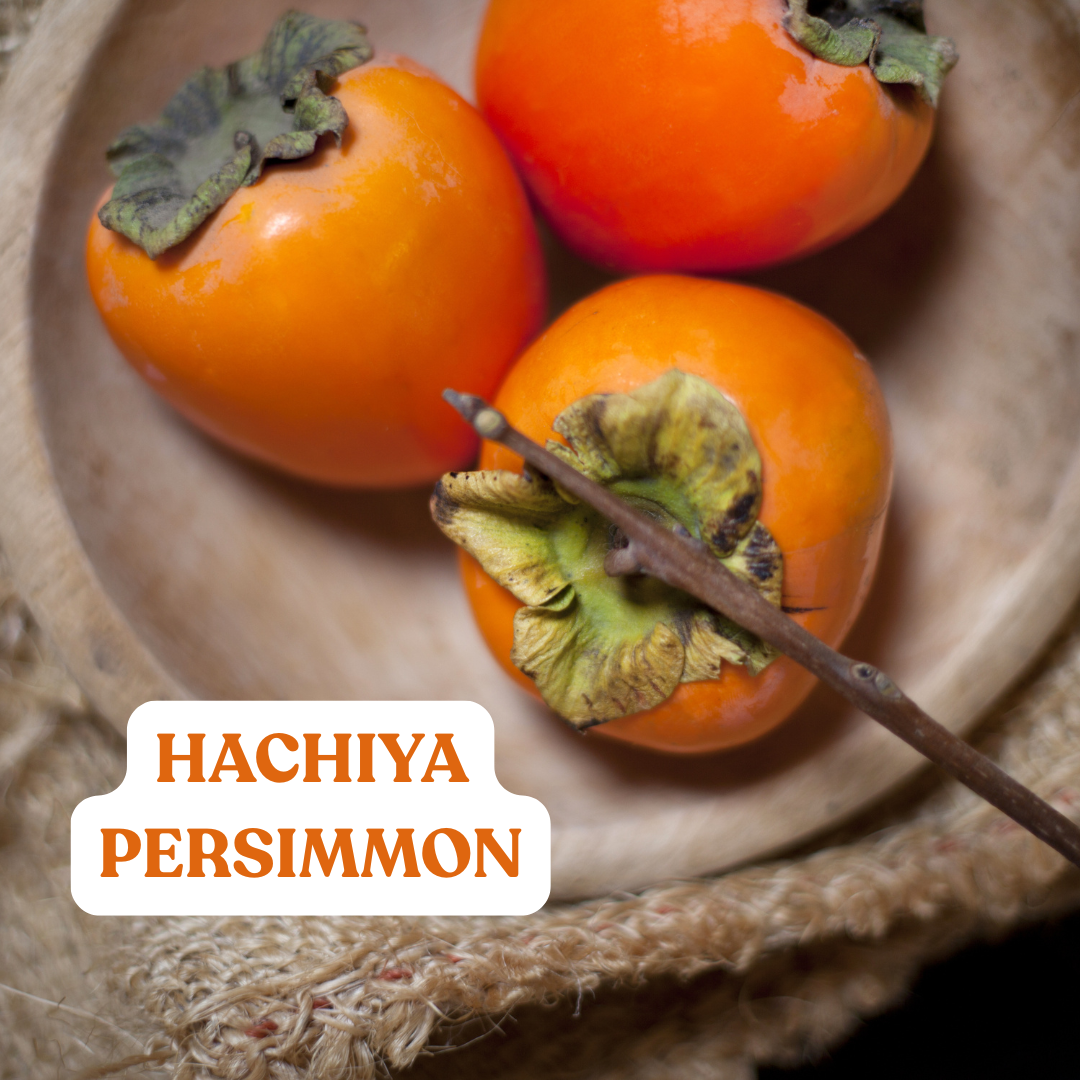 Hachiya Persimmon