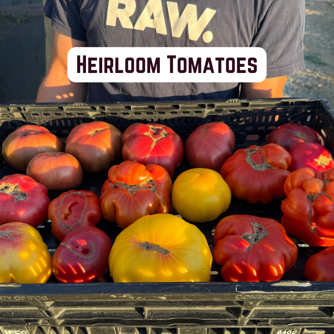 Heirloom Tomatoes