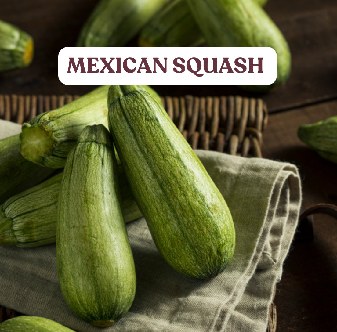 Mexican Squash (1lb)
