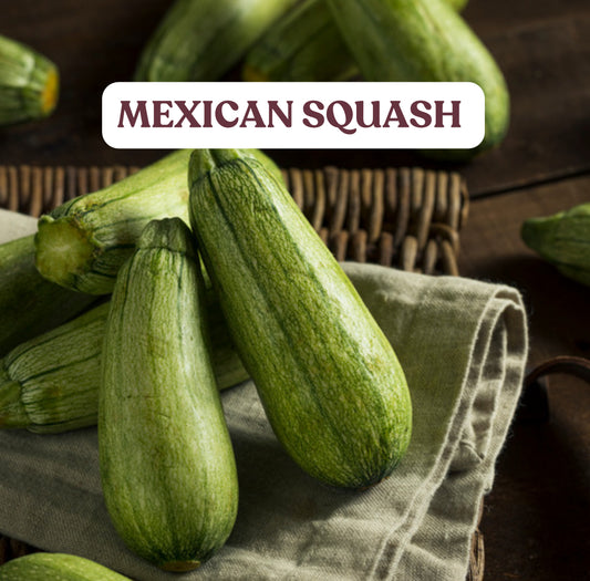 Mexican Squash