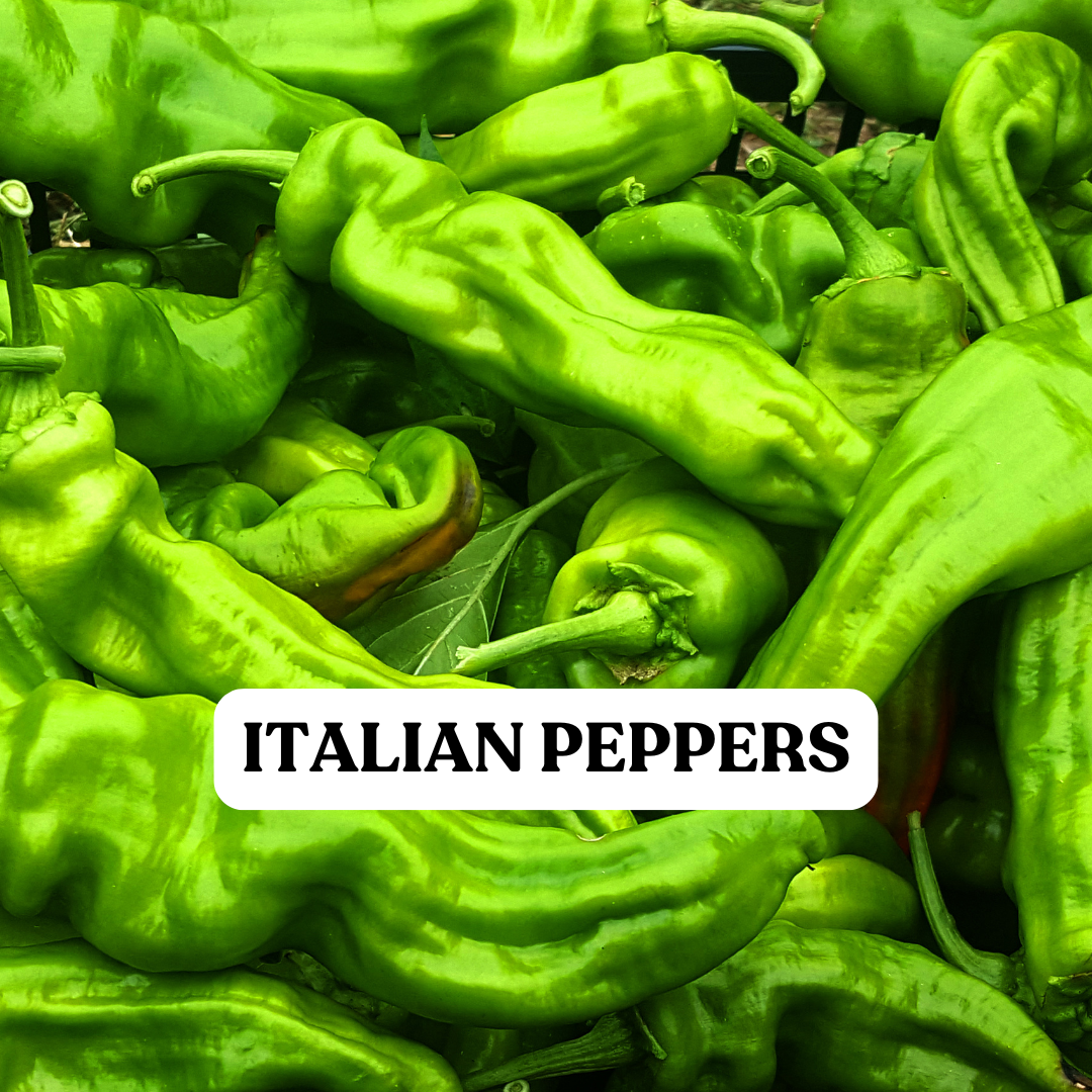 Italian Peppers