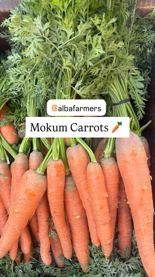 Bunched Carrots