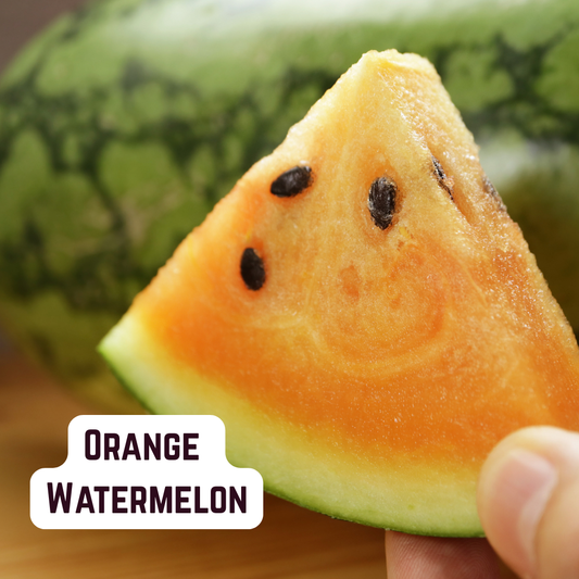 Orange Mini Seedless Watermelon