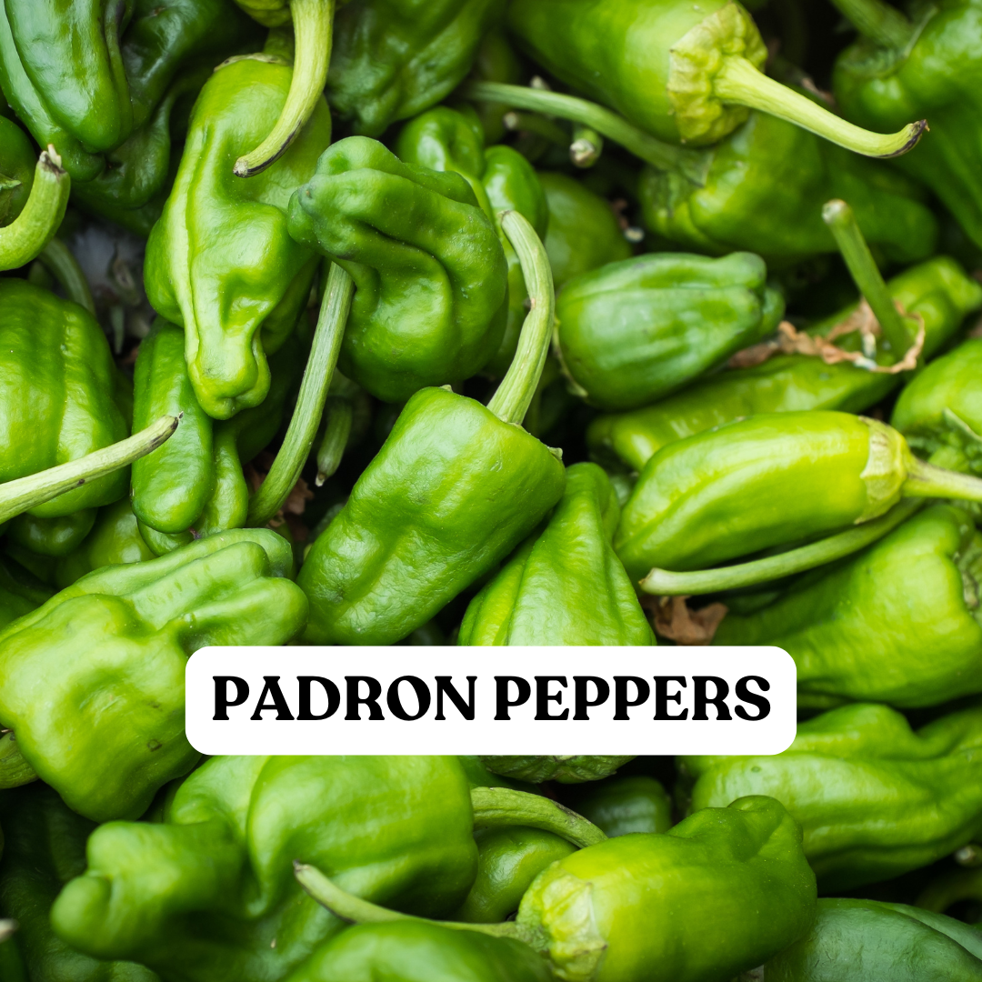 Padron Peppers