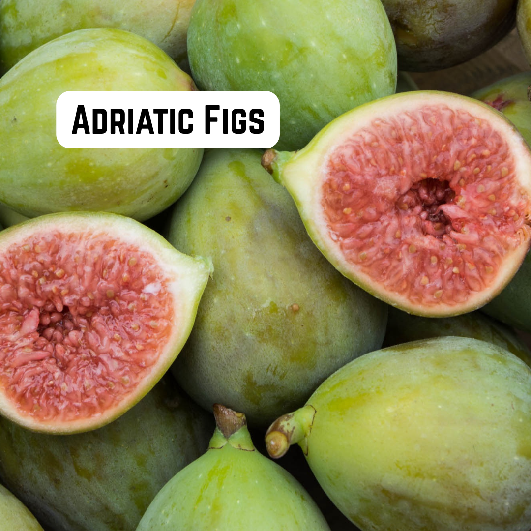 Adriatic Figs